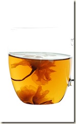 DSC_7913